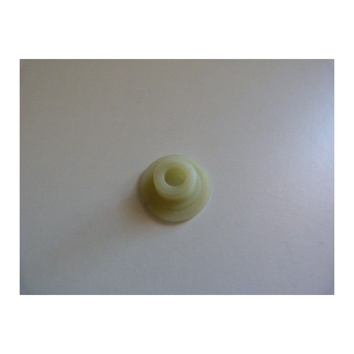 VIS SANS FIN POMPE GRAISSAGE GS2500