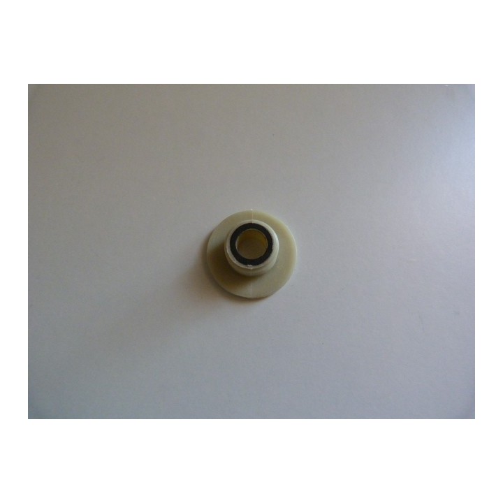 VIS SANS FIN POMPE GRAISSAGE GS52006200