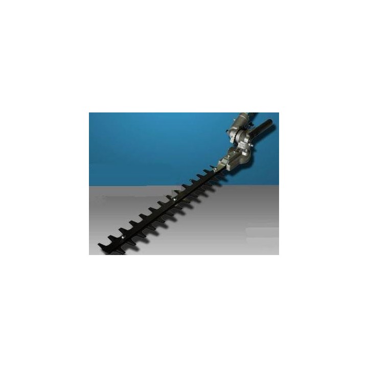 TAILLE HAIE SANS ARBRE DE TRANSMISSION