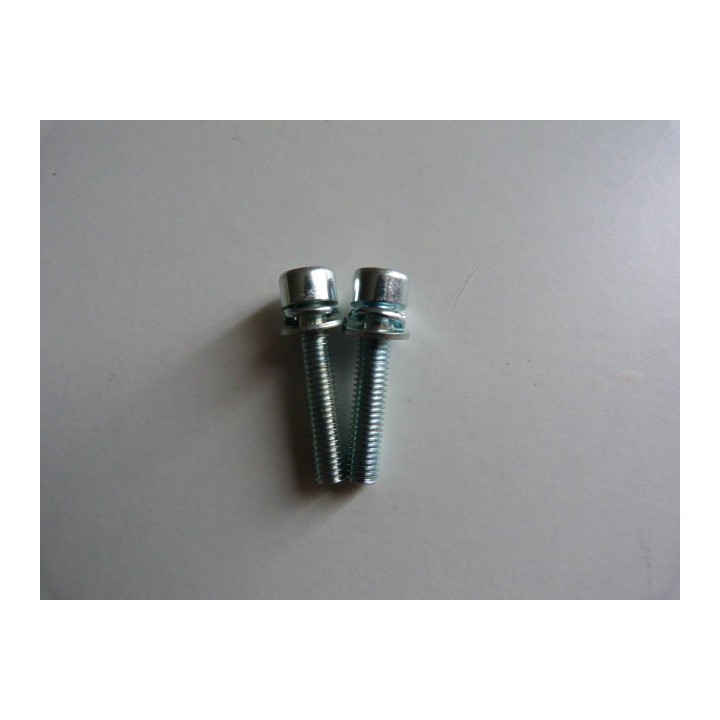 VIS POUR CARBURATEUR DÉBROUSSAILLEUSE OUTIL