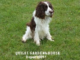 QUILES GARDEN&HOUSE